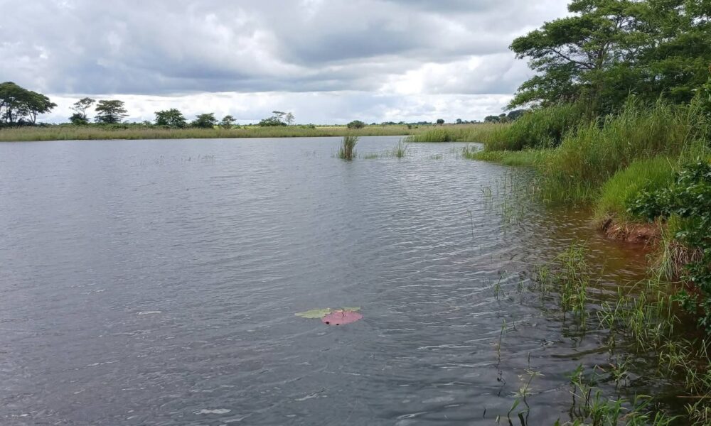 Five boys drown in Chongwe dam, police say