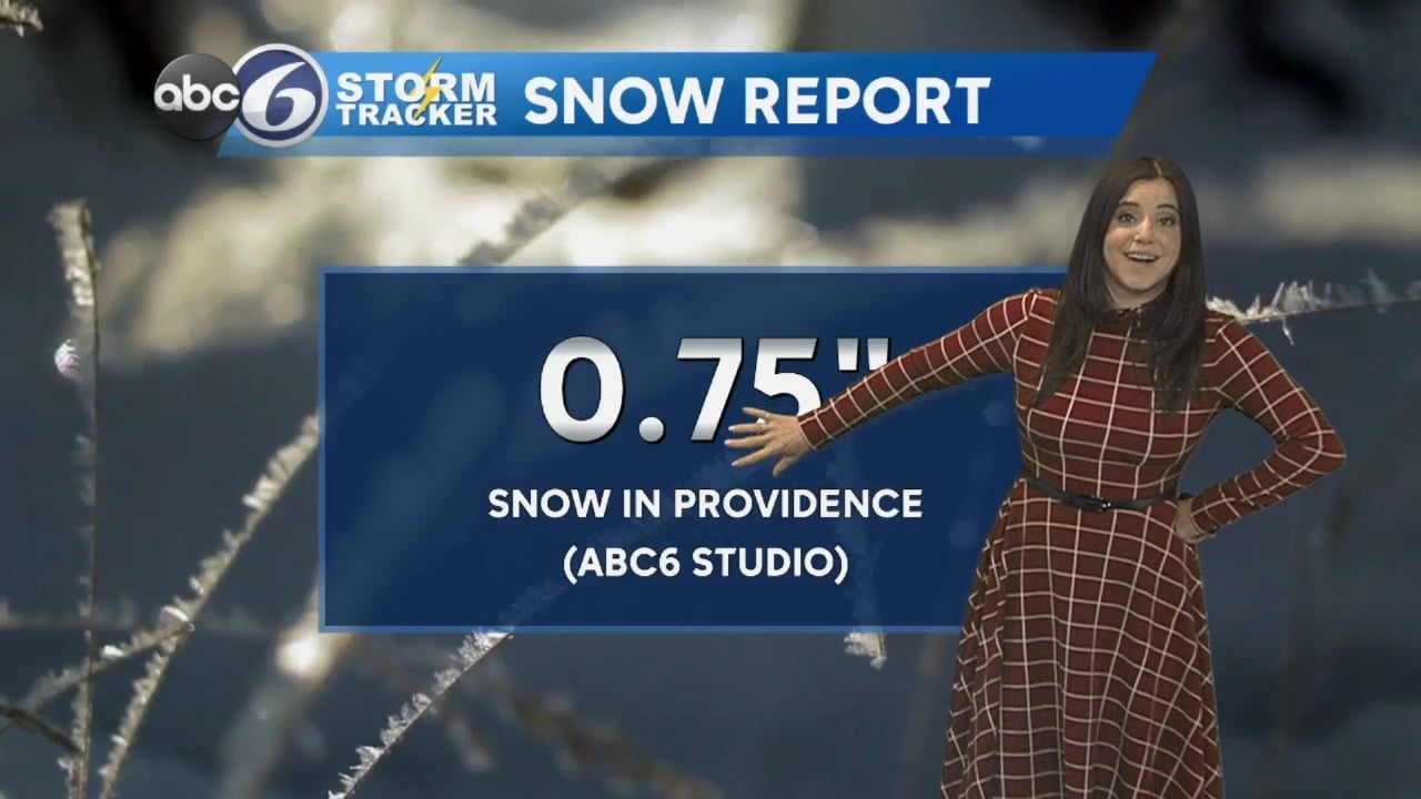 Fresh snowflakes for the New Year!