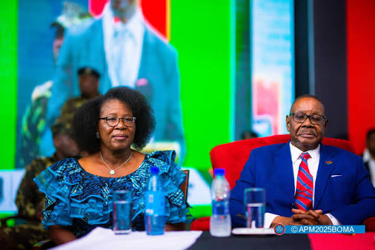 From VP to OPC: why disaster management keeps moving | Malawi 24