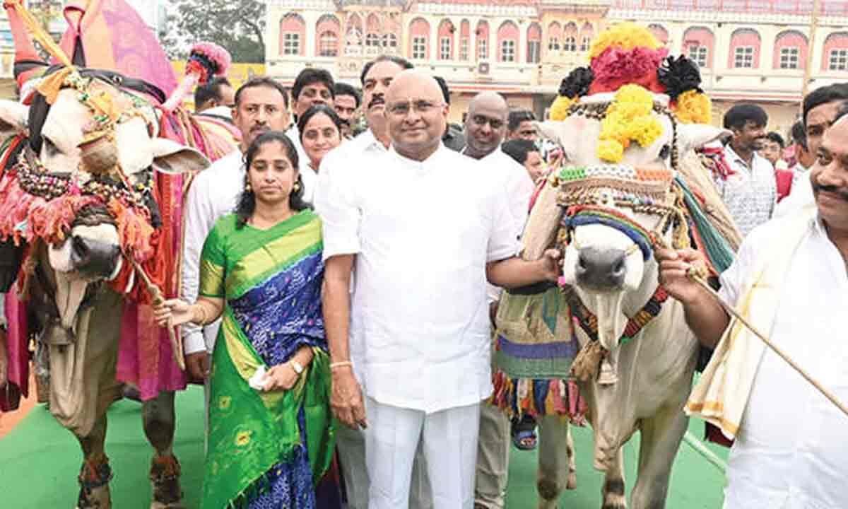 GMC organises Sankranti Sambaralu