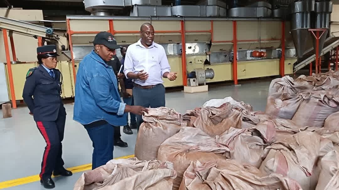 Govt backs Kawambwa tea revival as Permanent Secretary Kangwa calls for increased production