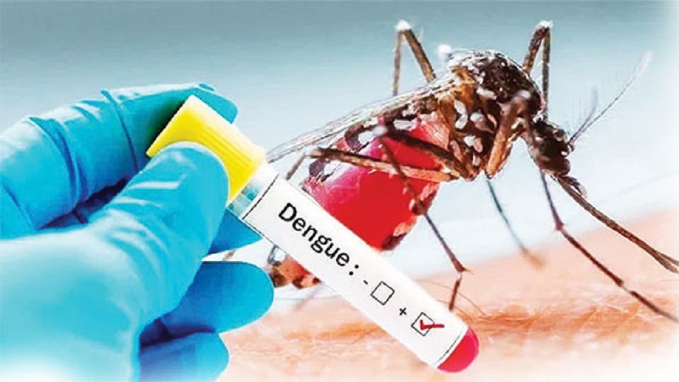 Health Officials Warn of Rising Viral Infections and Dengue Risk