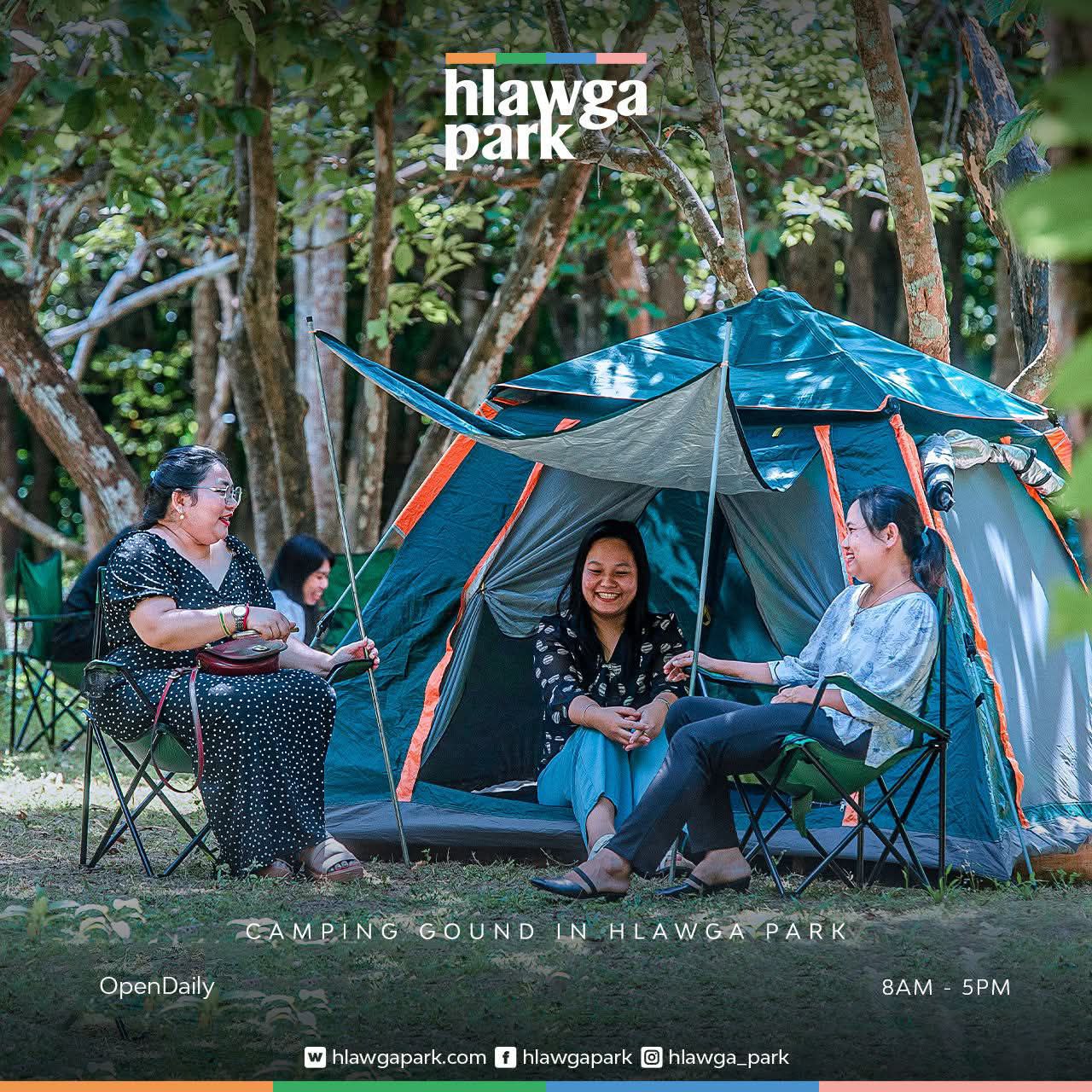 photo 2026 01 29 15 08 03 2