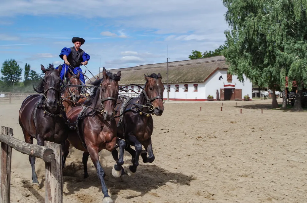 Hungary tourism 2026 hortobágy