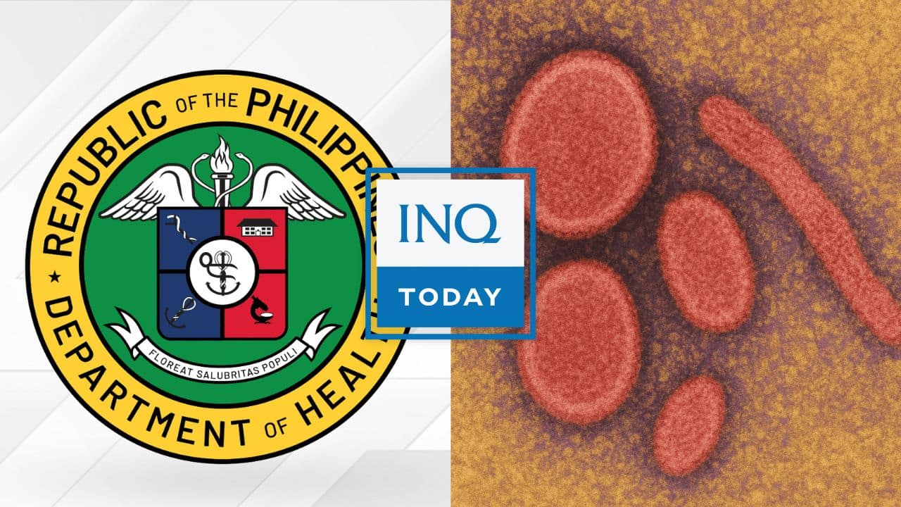 INQToday: DOH: Nipah virus ‘rare,’ not in PH since 2014