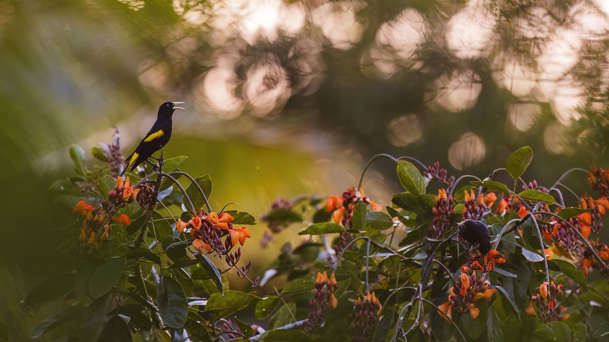 Learning from the source - Trinidad and Tobago Newsday