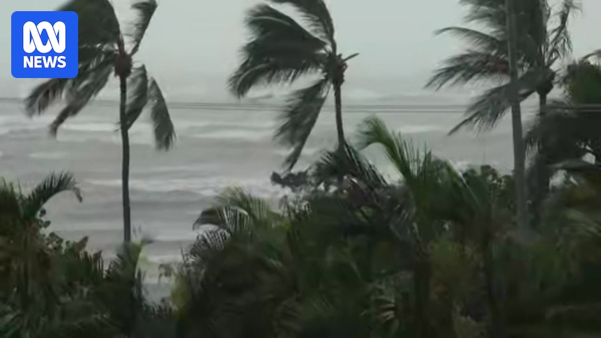 Live updates: Tropical Cyclone Koji makes landfall in north Queensland ...