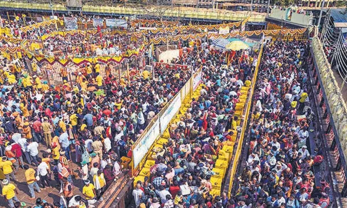 Medaram Jatara Draws Crowds as Festival Nears Conclusion