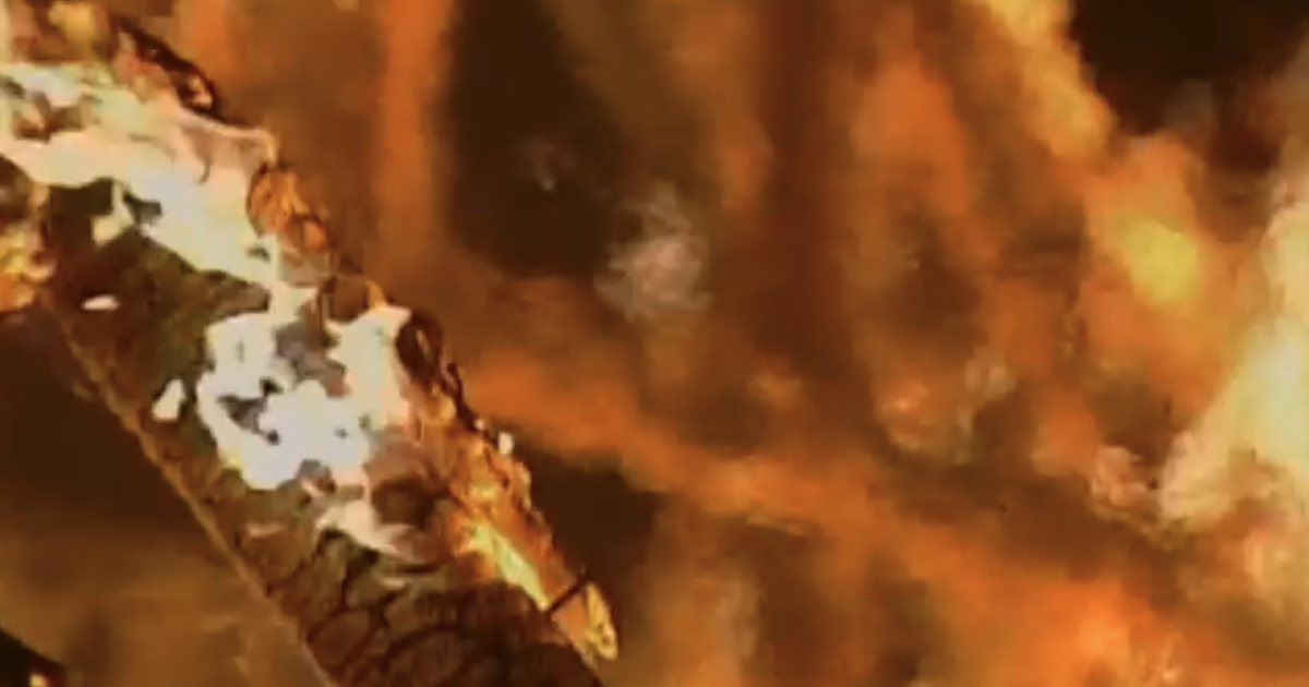 Nashville fire investigators see 19% spike in calls as city grows