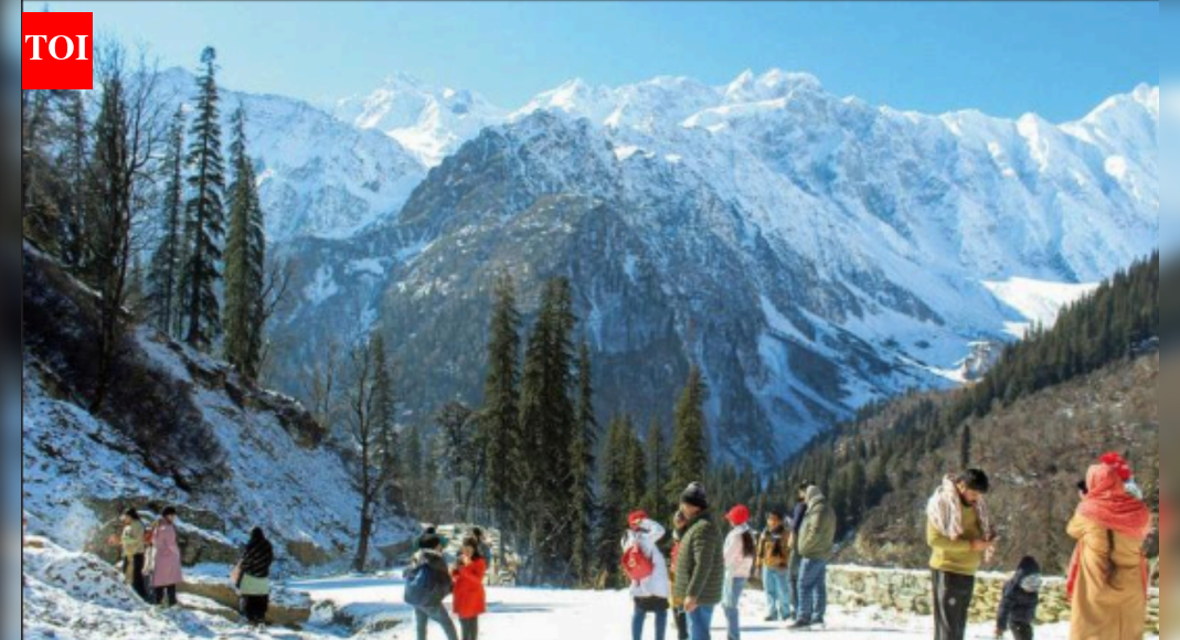 North may remain in cold wave grip for 2 more days | India News