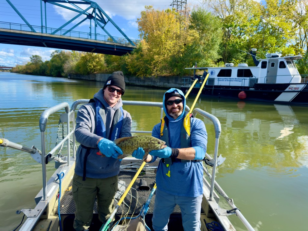 Scientists say smallmouth bass shows Cal-Sag water quality