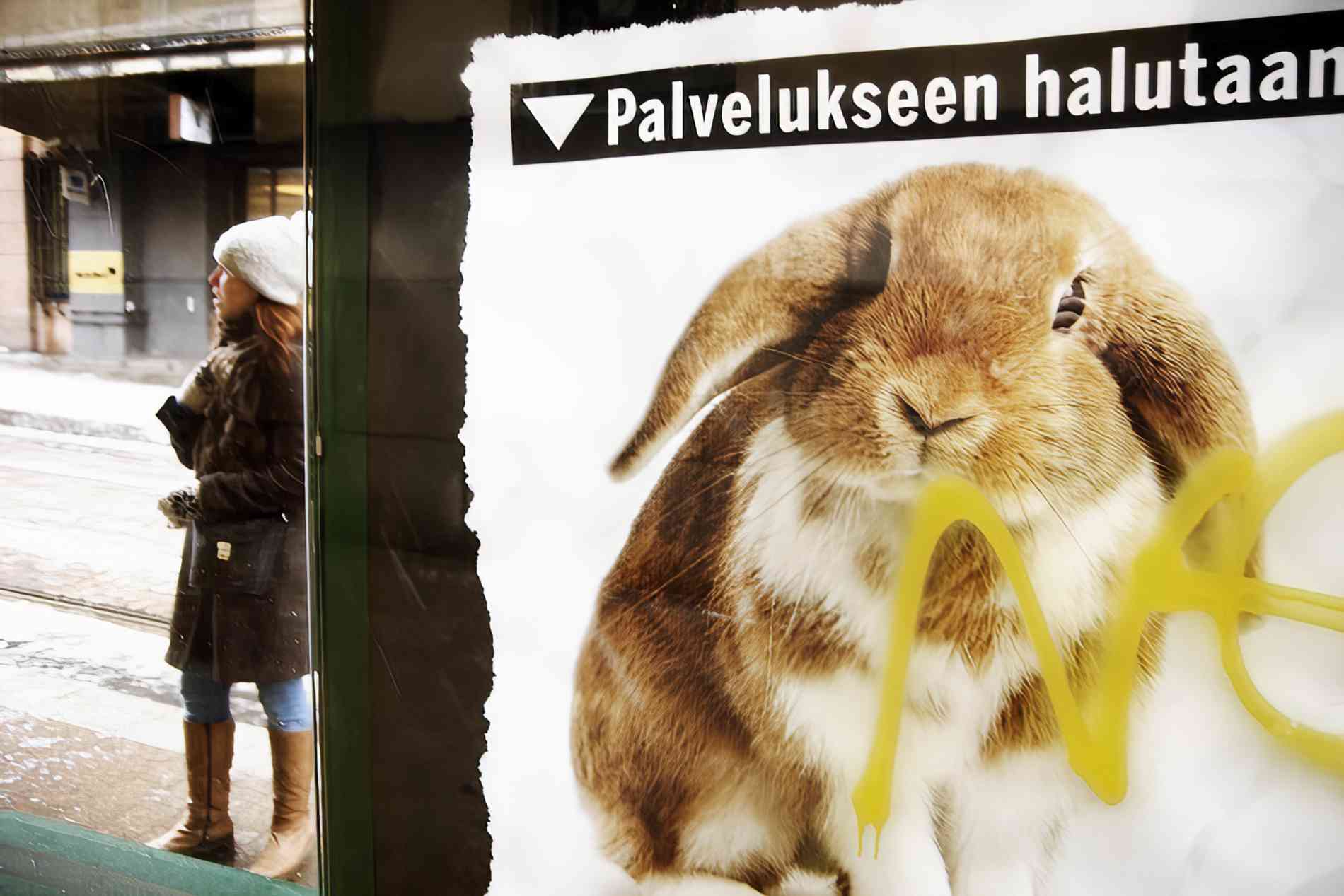 Siberian Freeze Grips Finland: Temperatures Plunge as Arctic Air Sweeps In | Finland Today | News in English