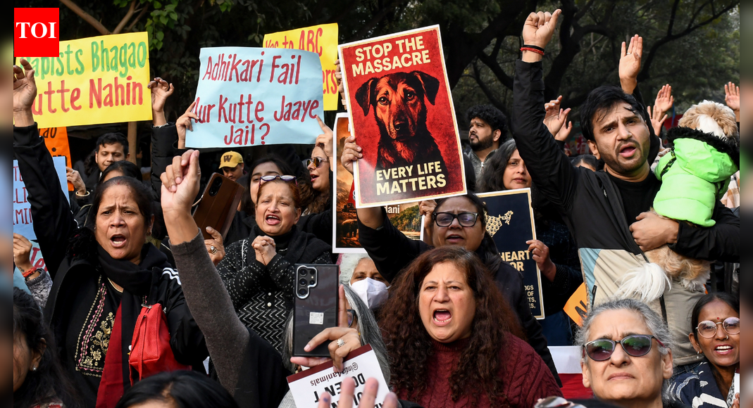 'Take them to your house': Supreme Court questions dog feeding groups; compensation warning for states | India News