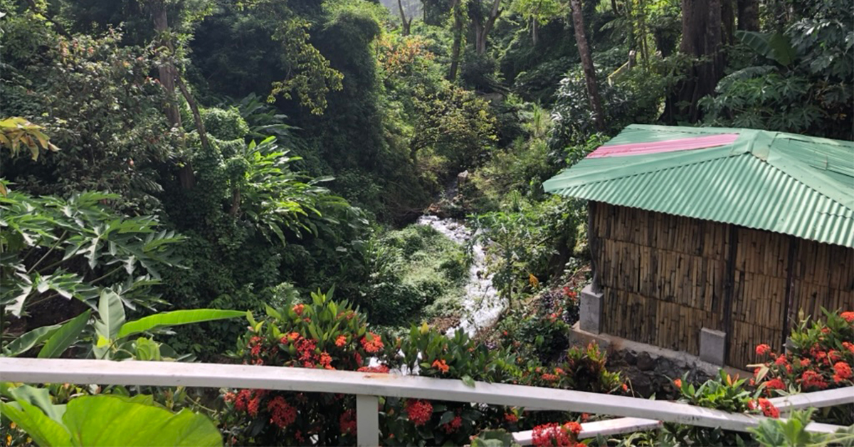 dominica hot springs