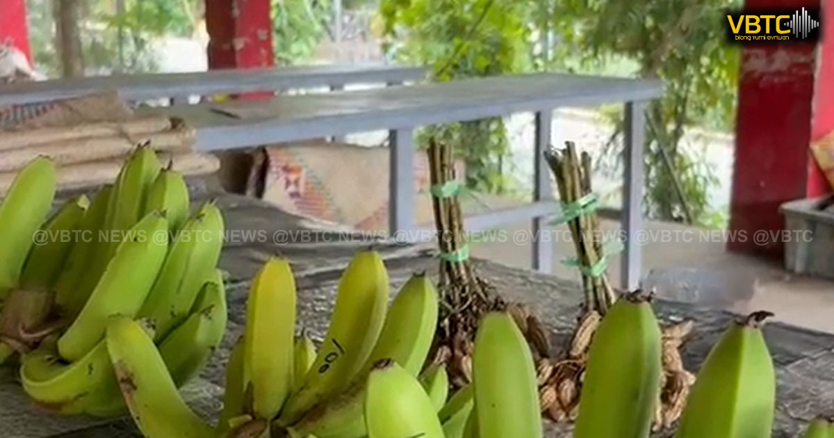 Trial Scale Used at Port Vila Markets