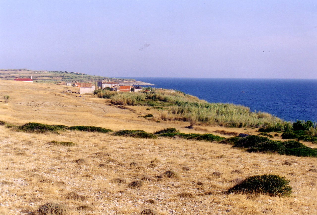 vele srakane croatian island