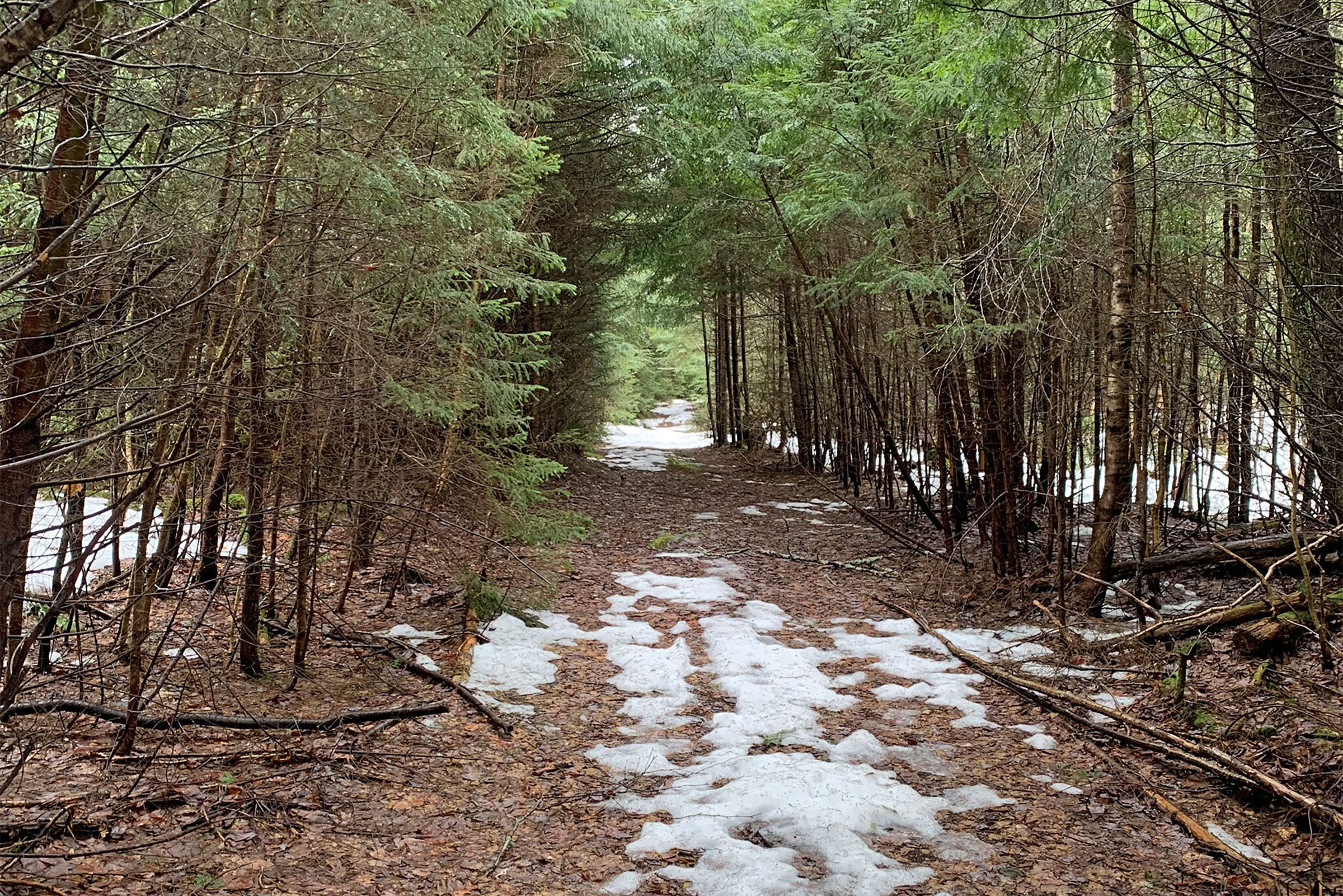 Vermont's first adaptive outdoor center coming to Rochester