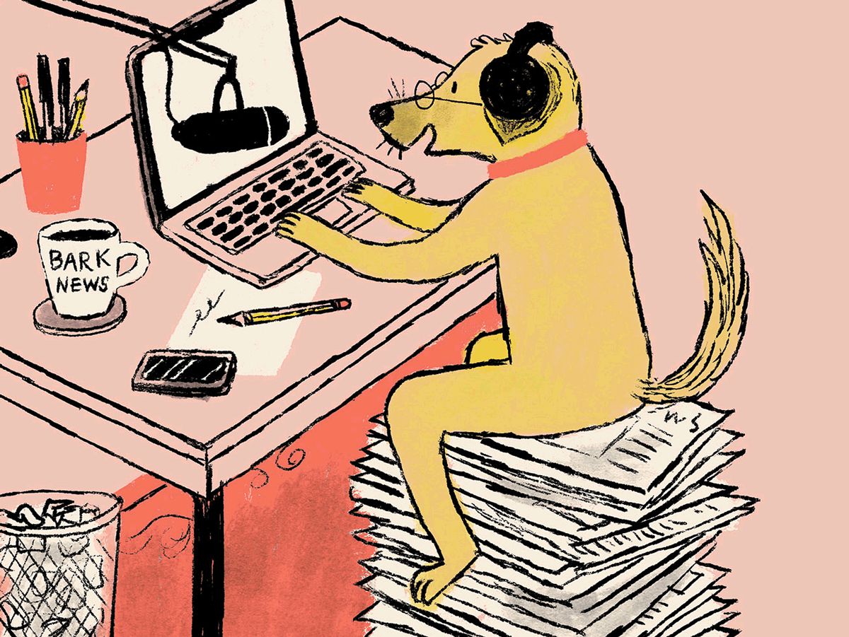 All the Vermont Media News You Can Use in 2026