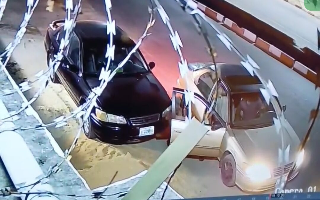 CCTV footage captures thieves stealing car battery in seconds