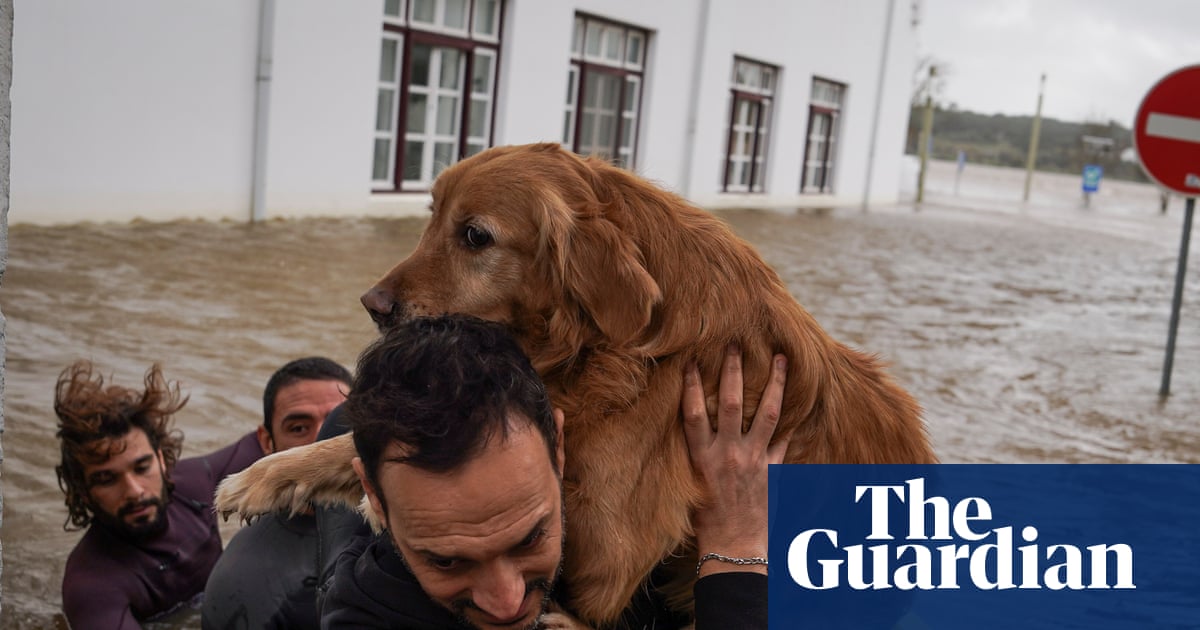 Calls to postpone presidential election as Storm Leonardo lashes Portugal and Spain | Extreme weather