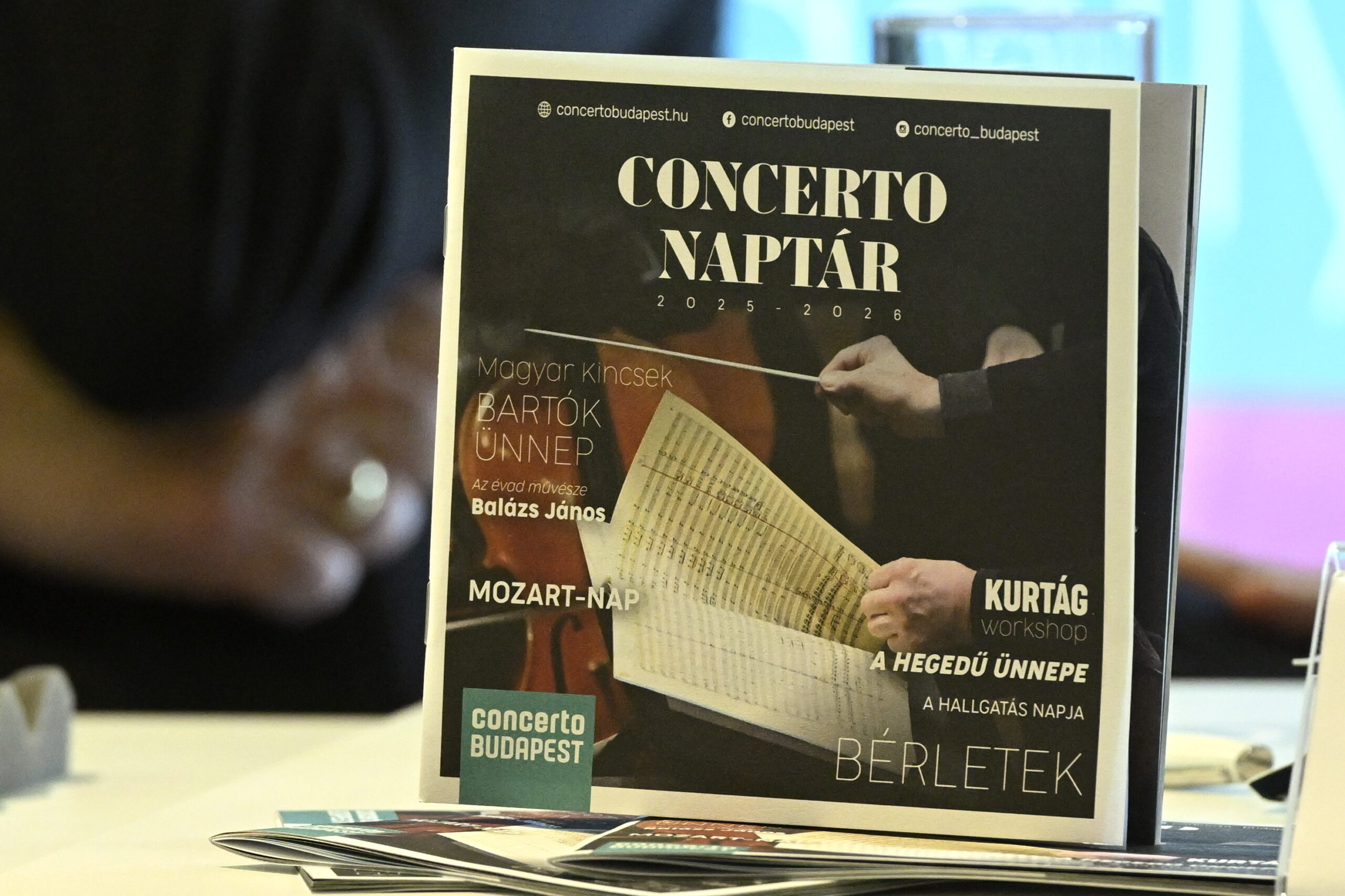 Concerto Budapest Brings Classical Music to Places Where Performances Are Rare