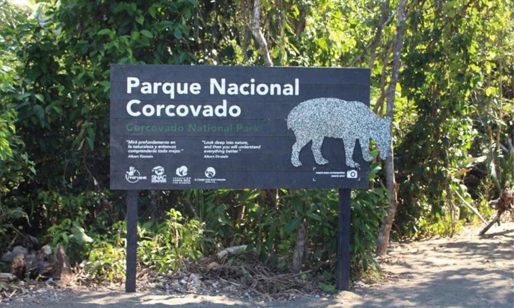 Corcovado National Park guide criticizes SINAC as illegal mining persists
