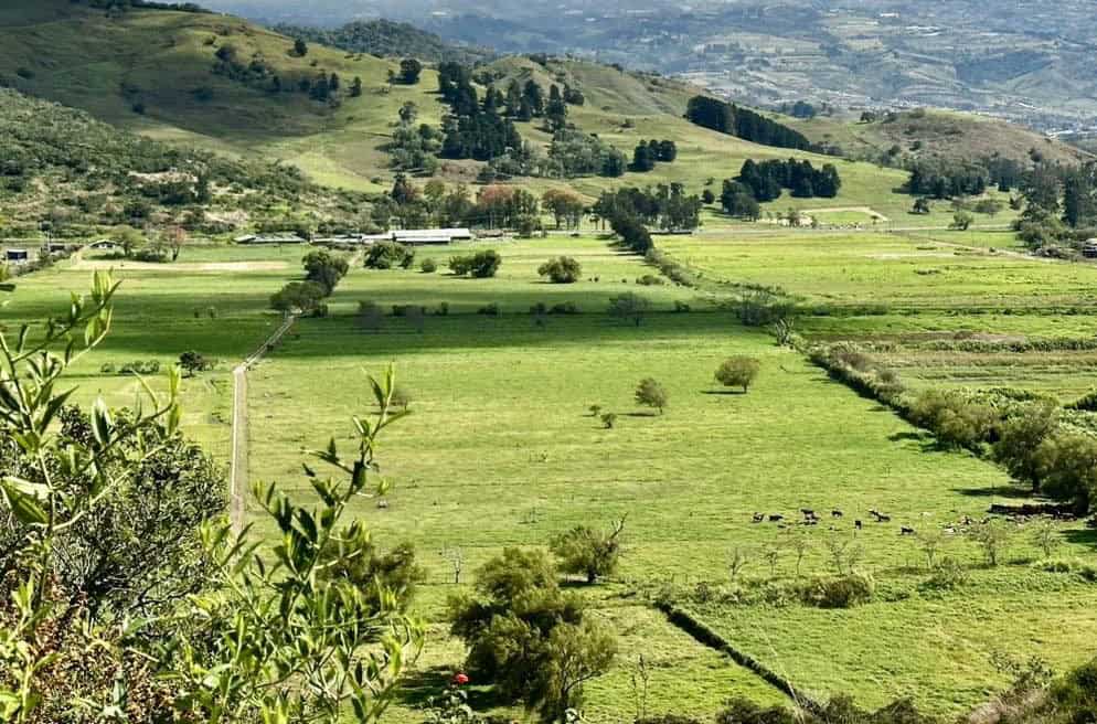 Costa Rica Cracks Down on Alleged Violations in Coris Wetlands