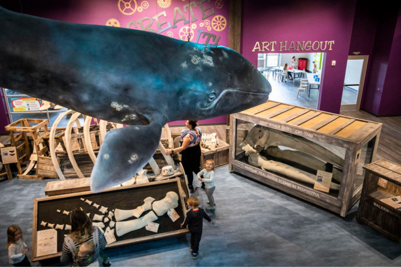 Children play and look up at a large whale figure hanging from the ceiling at the Imagine Childrens Museum (Olivia Vanni / The herald)
