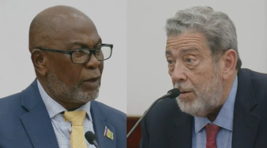 Deputy PM Slams Opposition Leader Over 'Despicable' Snub of Governor General