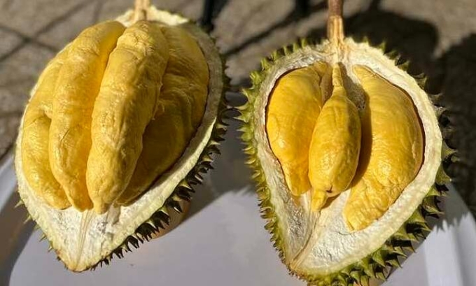 Durian prices jump above $5.4 per kg after Tet