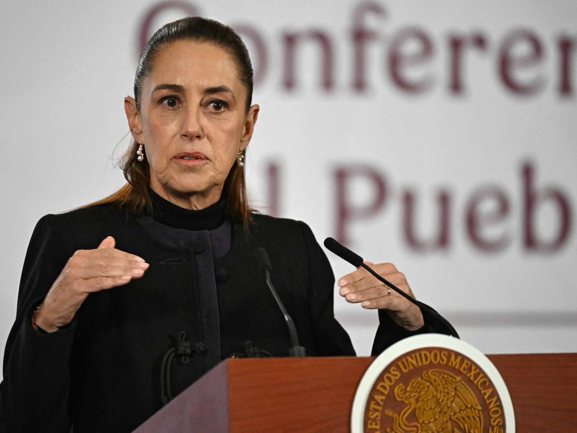 El Mencho: Mexico officials says 25 soldiers killed after cartel raid | Crime News