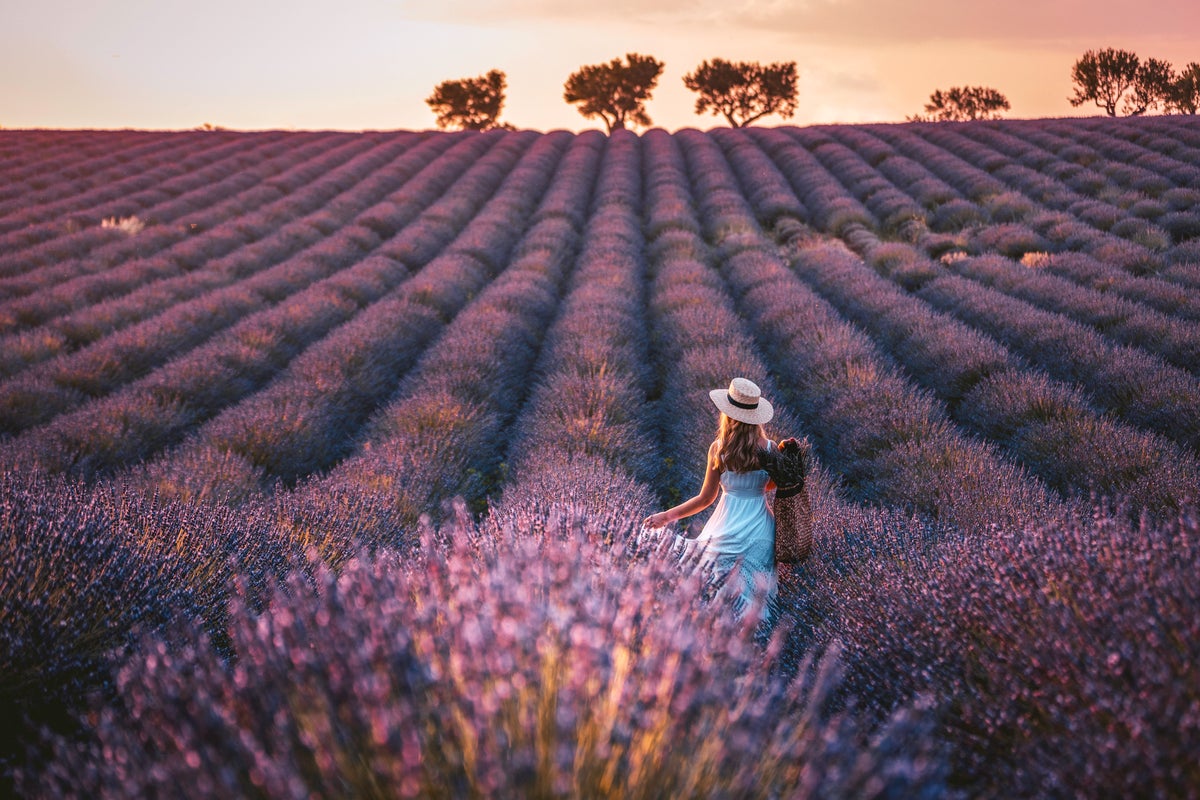 Europe’s seasonal wonders worthy of planning your weeklong vacation around