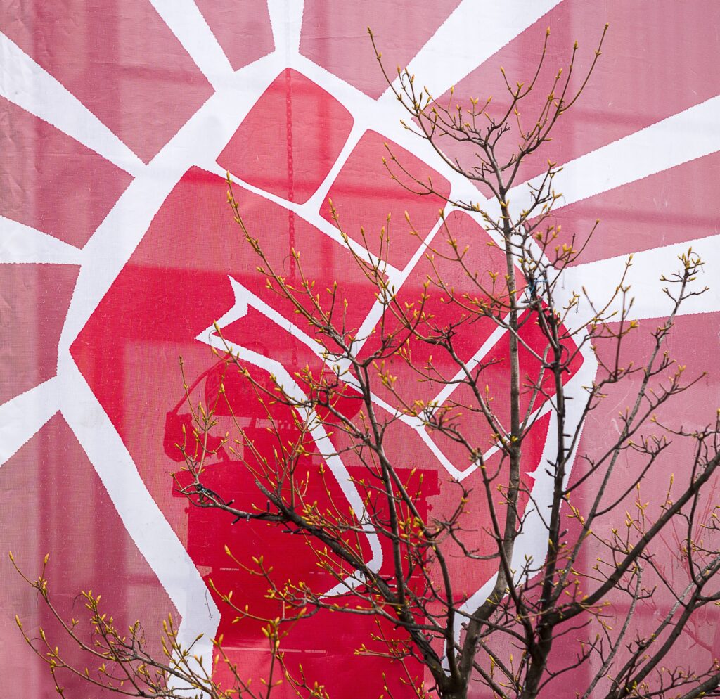 Foreign Labour Is Underutilised In Iceland