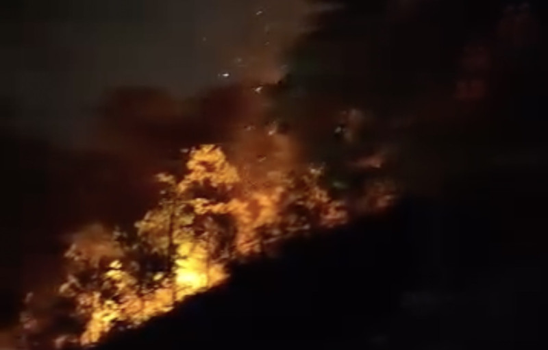 Forest fire destroys about five hectares of greenery in Penang’s Botanic Gardens