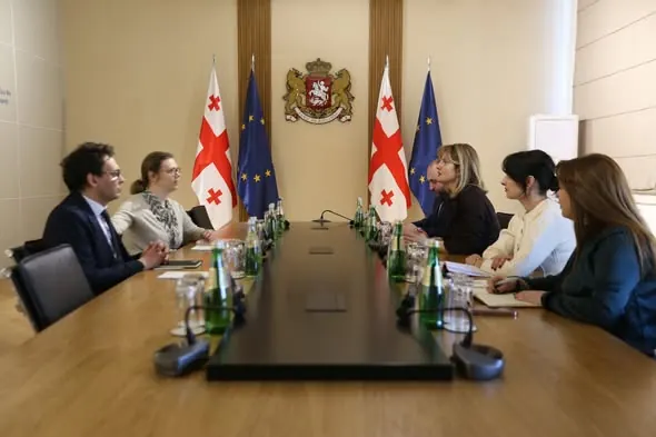 Georgia and Hungary review Stipendium Hungaricum Program