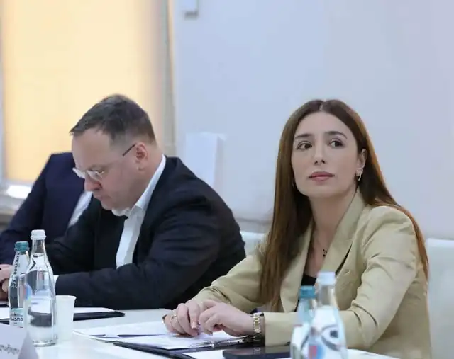 Georgia bans older car imports, exempts electric vehicles