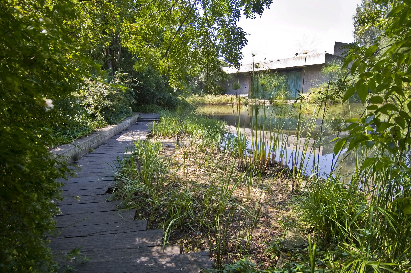 Gulbenkian supporting young people - The Portugal News