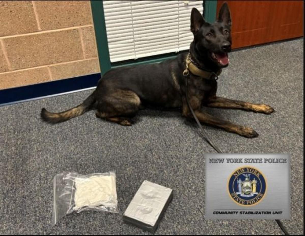 Half-Million In Deadly Drugs Found In Secret Hudson Valley Spot