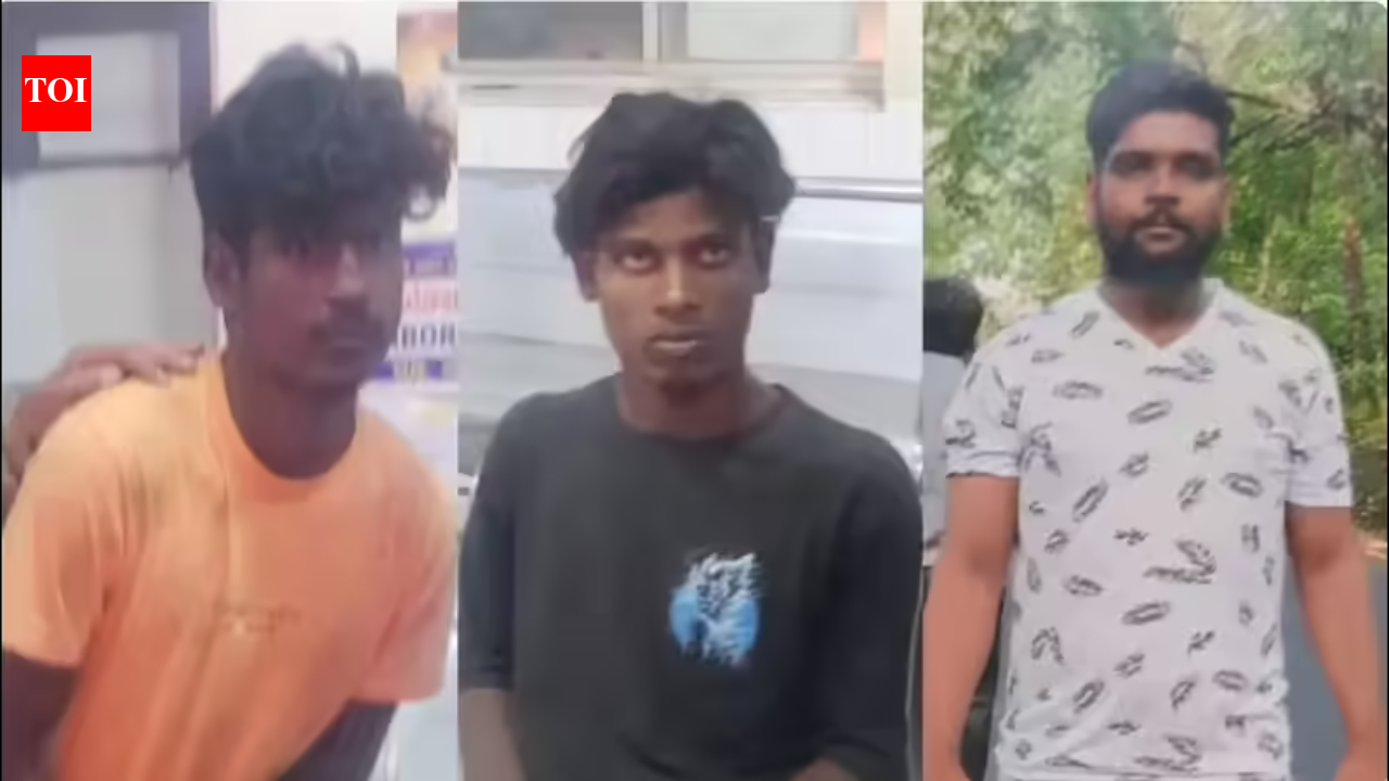 Hampi rape-murder case: Trio sentenced to death for raping Israeli tourist and her host, killing guide in Karnataka | Bengaluru News