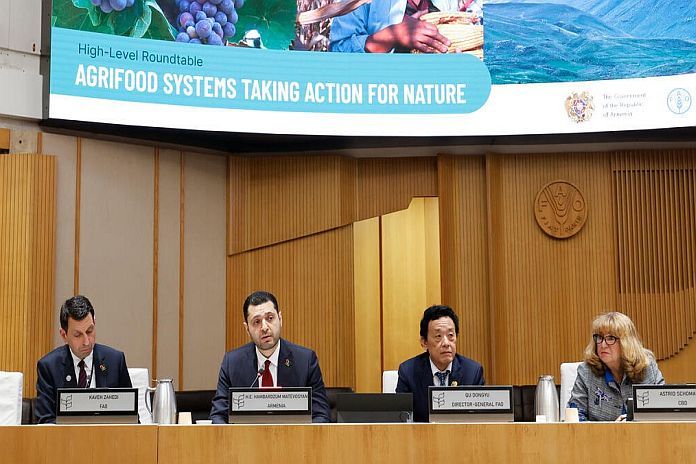 High-Level roundtable highlights growing role of agrifood systems in National Biodiversity Strategies and Actions