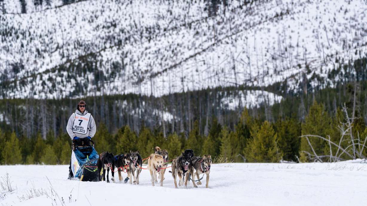 Idaho Sled Dog Challenge ceases operations after years of snow disruptions