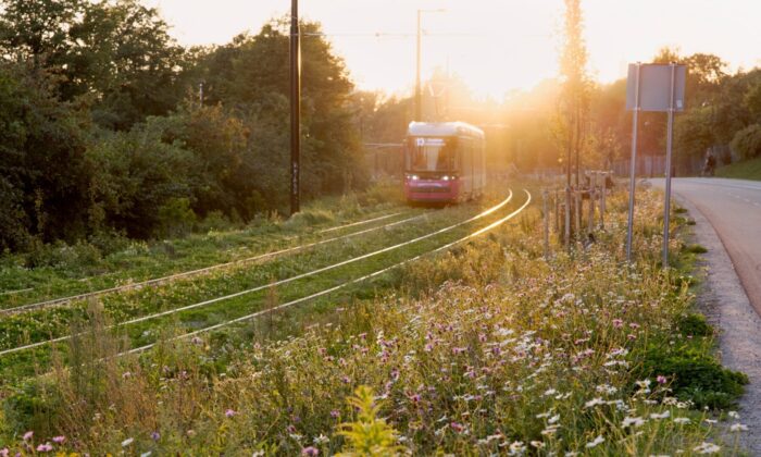 In Helsinki, major infrastructure upgrades sustain a growing city