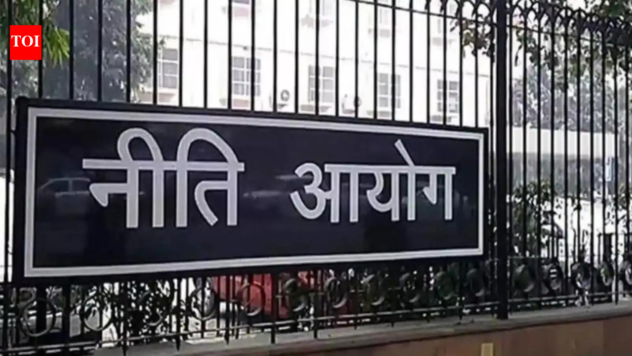 India needs $14.23 trillion investment in power sector by 2070 to meet net-zero goal: Niti Aayog