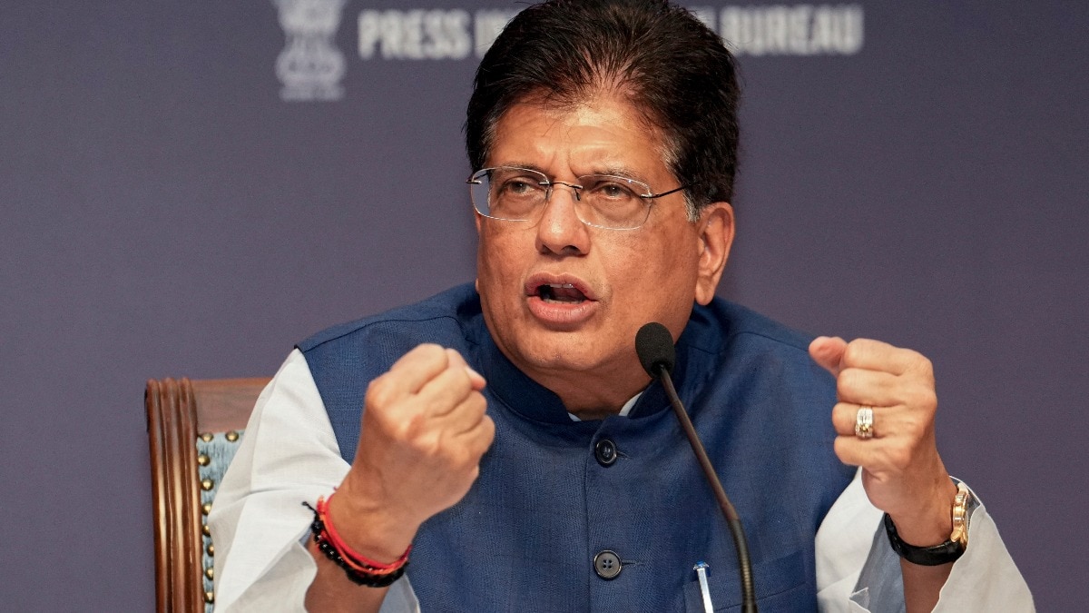 Jewellery, pharma, smartphones to be tariff-free: Piyush Goyal details US deal