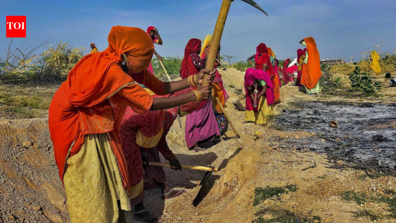 Joblessness among those aged 15 and above falls in rural, urban areas in Oct-Dec: PLFS | India News