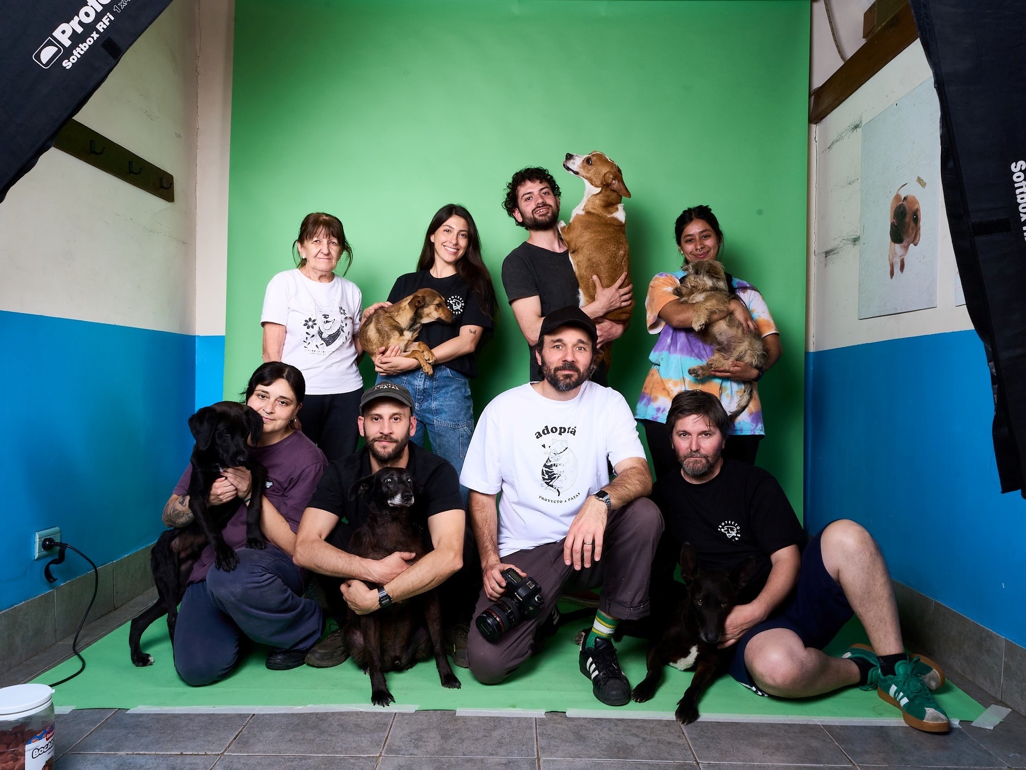 La ONG que hace calendarios con fotos de perros rescatados