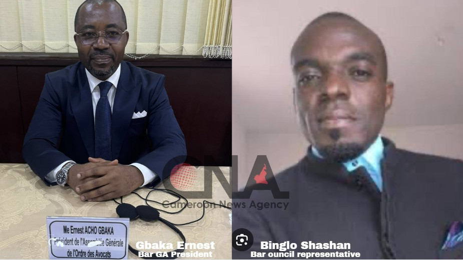 Lawyers Demand GA President’s Resignation After Assault at Bar General Assembly