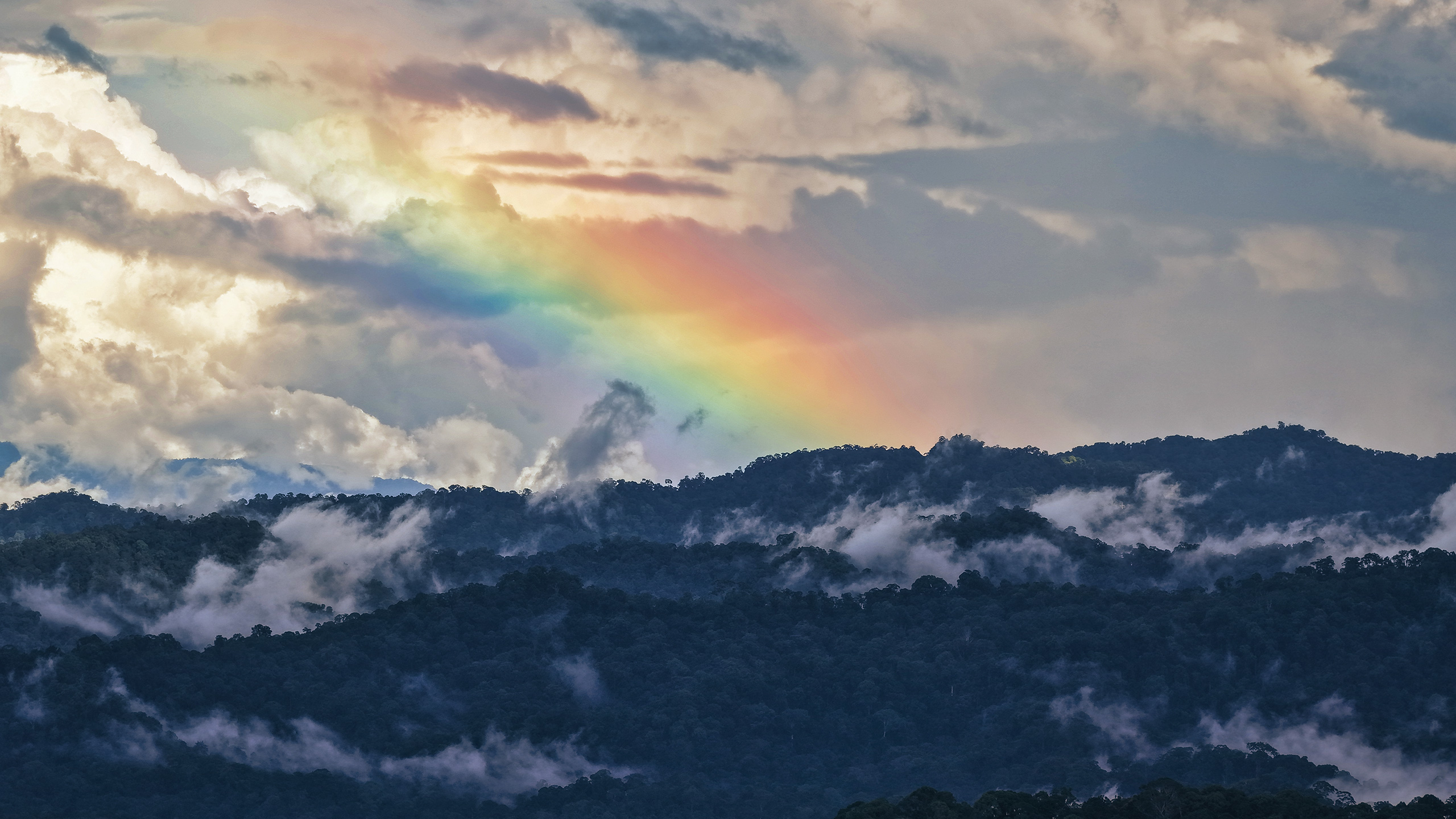 Letters to the future from journalism’s next generation