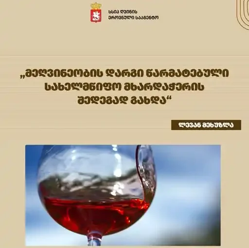 Levan Mekhuzla highlights Support for Georgian Winegrowers