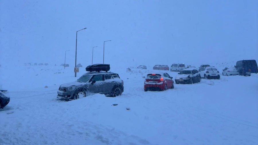 Majority of them families with children but no snow chains;